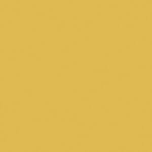 LB COLOR TWO dark yellow 20x20 flat unlisted