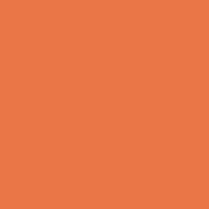 LB COLOR ONE orange 20x20 flat unlisted
